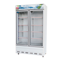 ˫��������