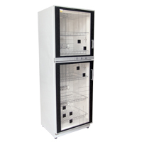 ˫��������